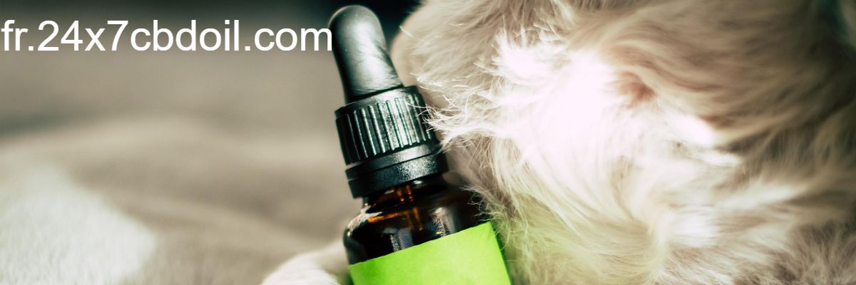 fr.24x7cbdoil.com
